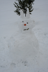 sessi-snowman.jpg
