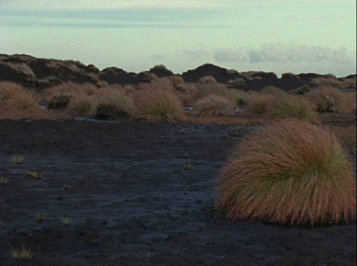 Still from Layerscape (peat bogs)