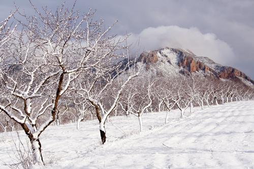 la-muela-in-snow.jpg