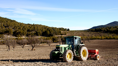 jose-tomas-tractor.jpg