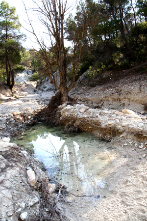 reflection-in-barranca.jpg