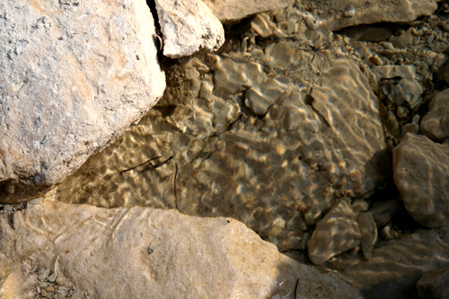 water-in-the-barranca.jpg