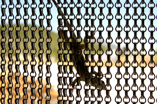 lizard on fly chain