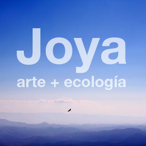 Joya blog 300