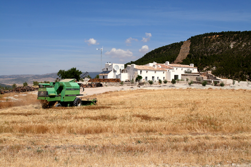 berley combine