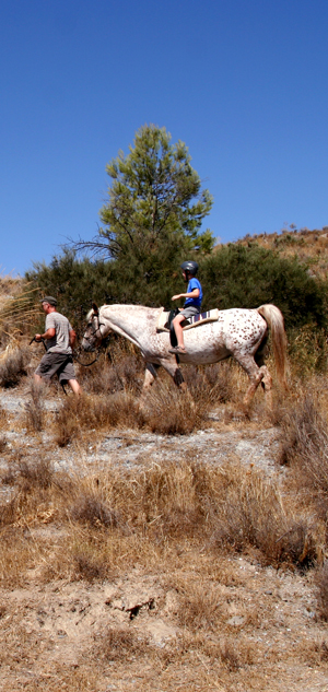 sol on horseback