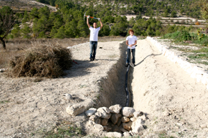 lloyd & romaine digging