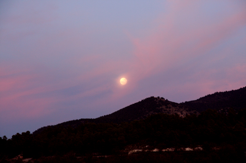 moon in the sunset