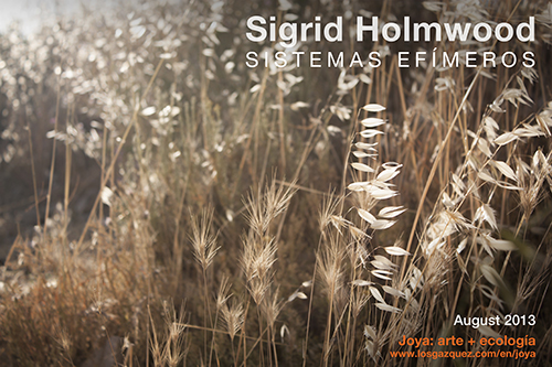 sigrid holmwood