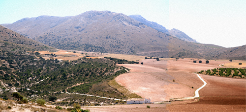 sierra maria