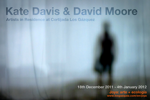 Davis&Moore 3