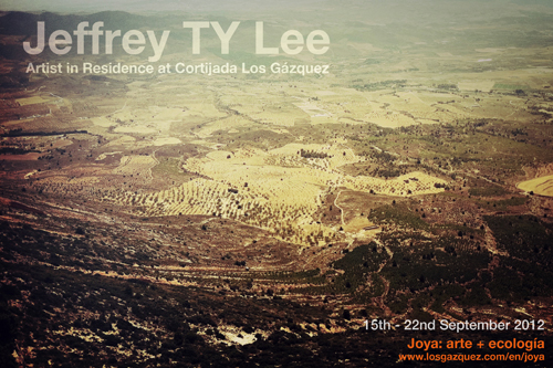 Jeffrey TY Lee