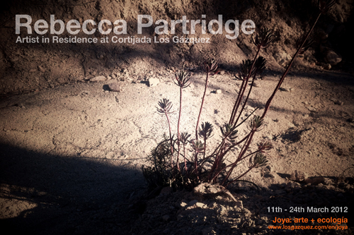 Rebecca Partridge 4