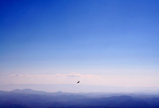 Image of a vulture circling over mountains